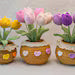Handmade Crochet Tulip Flower Pot - Pink, Purple, Orange - Cute Gift for Her, Girlfriend, Friend, Colleague, Crochet Flower Bouquet